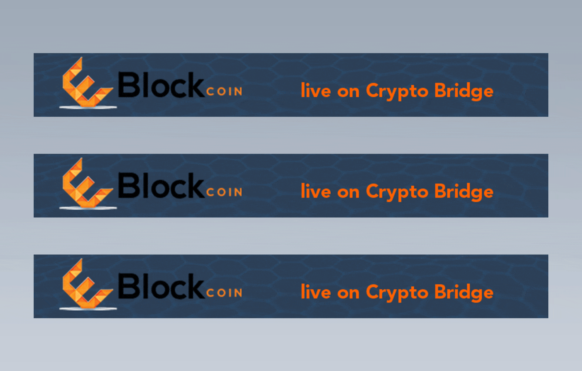 Dynamic Gif Banner Design for E Block Coin