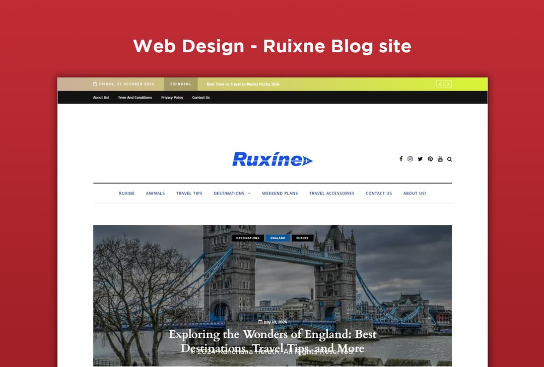 Wordpress Web Design-Ruixne Blog site